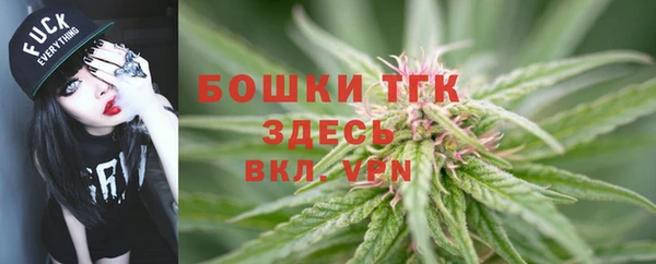 ГАЛЛЮЦИНОГЕННЫЕ ГРИБЫ Сафоново