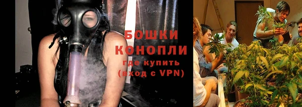 ГАЛЛЮЦИНОГЕННЫЕ ГРИБЫ Сафоново