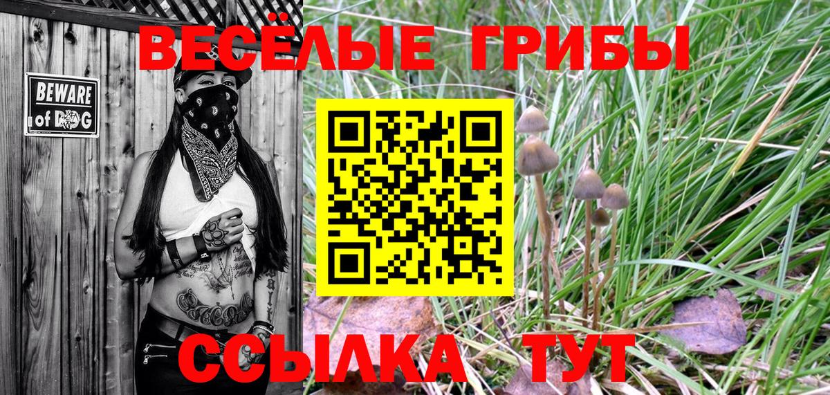 Сибай  Псилоцибиновые грибы мухоморы  Вход с VPN 