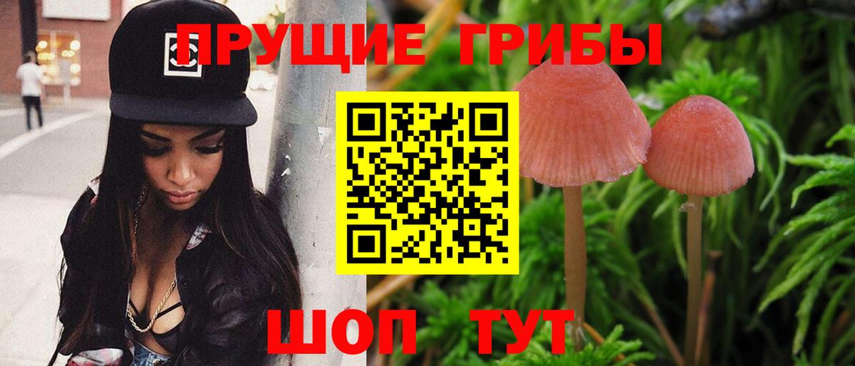 Галлюциногенные грибы Cubensis Сибай